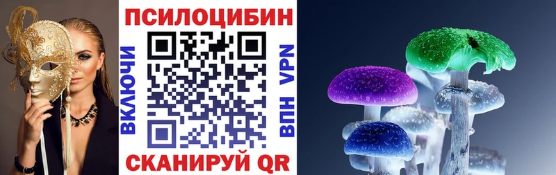 Псилоцибиновые грибы MAGIC MUSHROOMS  Купить где  Черняховск